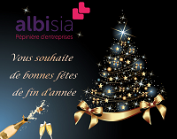 Bonnes fêtes de fin dannée